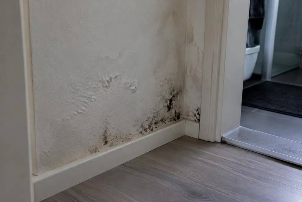 Lekdetectie Amstelveen – vochtplek met schimmel op een muur